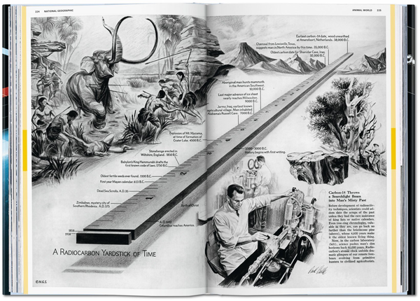 Паперова книга «National Geographic Infographics» - фото №1