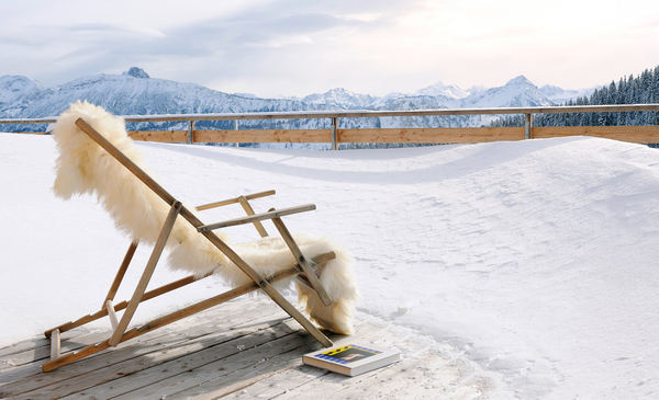 Бумажная книга «Living in Style Mountain Chalets Revised edition» - фото №1