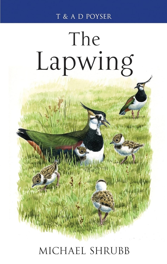 Бумажная книга «The Lapwing», автор Майкл Шрубб - фото №1