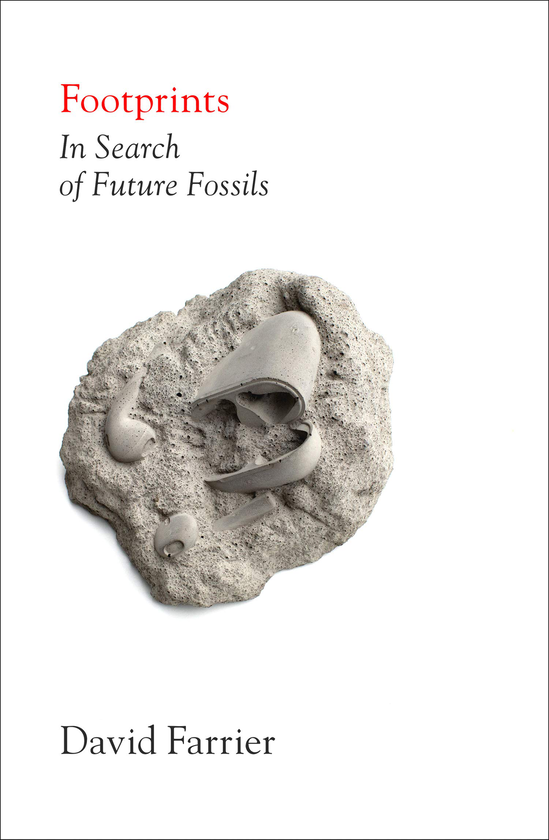 Бумажная книга «Footprints», автор Дэвид Фарриер - фото №1