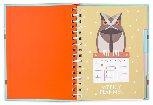 Бумажная книга «I Like Birds: A Parliament of Owls Family Planner» - фото №1