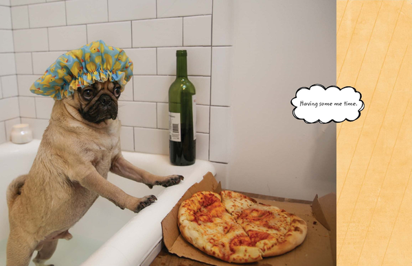 Бумажная книга «Doug The Pug: The King of the Internet», автор Лесли Мосье - фото №1