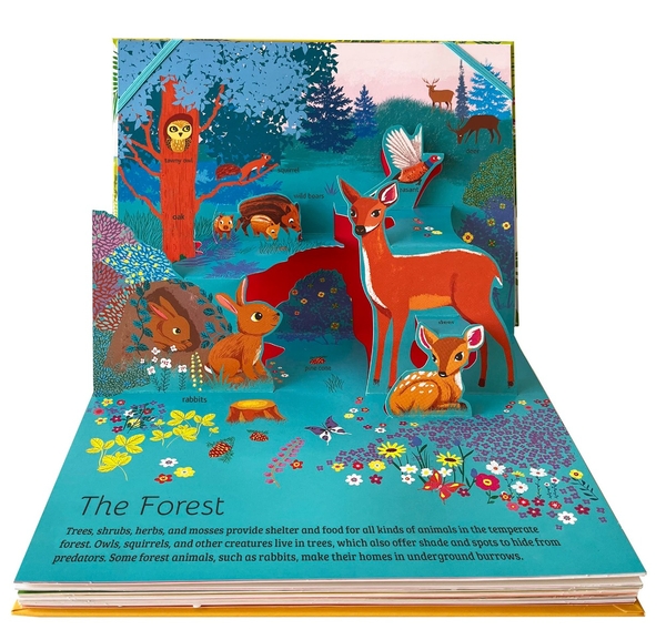 Бумажная книга «The Pop-Up Guide. Animals», автор Мод Пулен - фото №1