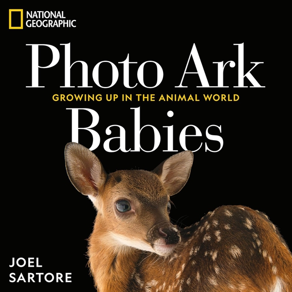 Паперова книга «National Geographic Photo Ark Babies: Growing Up in the Animal World», автор Джоел Сартор - фото №1