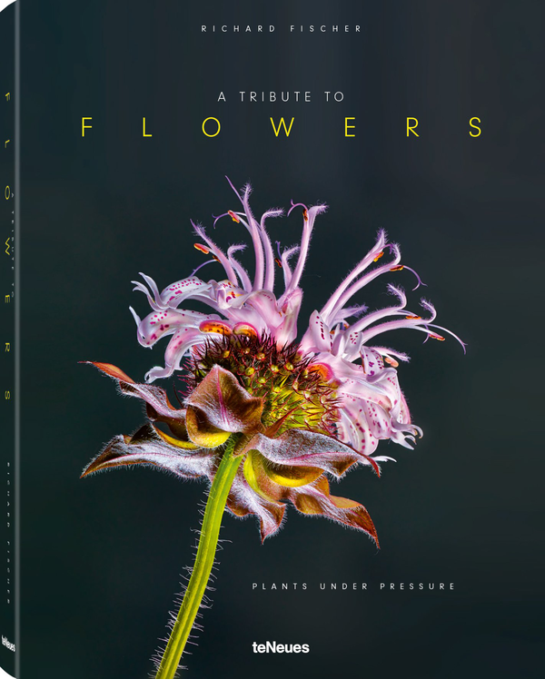 Паперова книга «Tribute to Flowers. Plants Under Pressure», автор Річард Фішер - фото №1