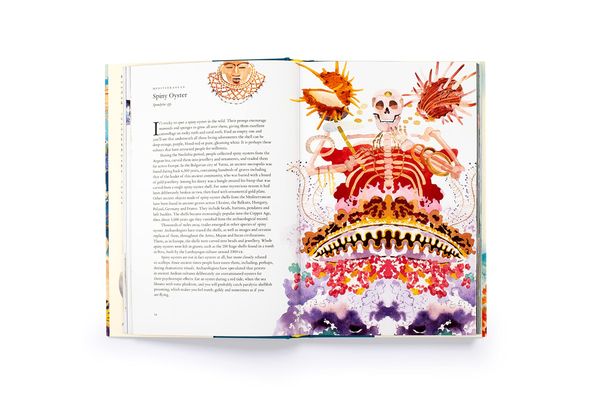 Бумажная книга «Around the Ocean in 80 Fish and other Sea Life», автор Хелен Скейлс - фото №1
