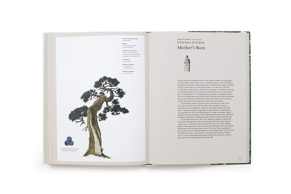 Бумажная книга «Story of Trees. And How They Changed the Way We Live», авторов Дэвид Уэст, Кевин Хоббс - фото №1