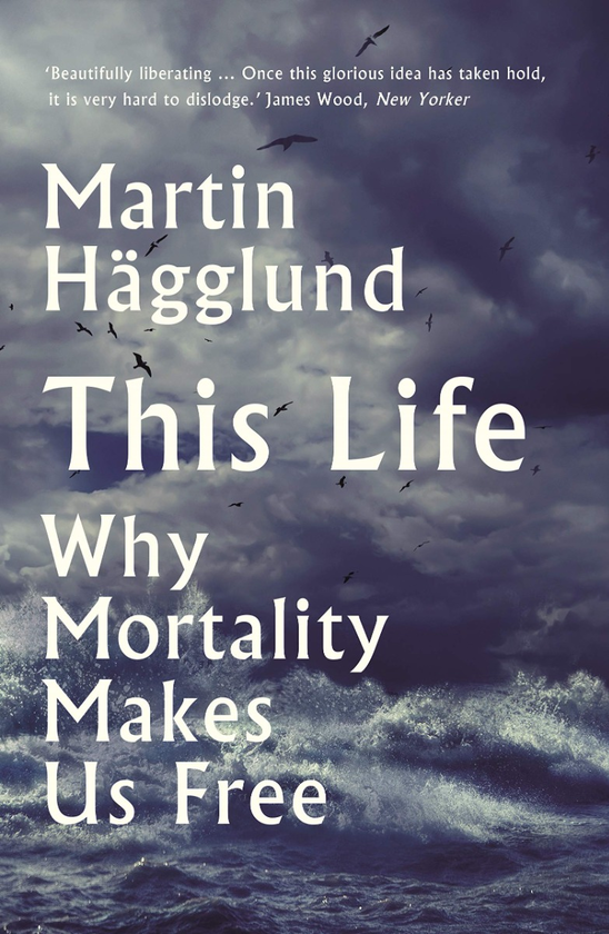 Бумажная книга «This Life. Why Mortality Makes Us Free», автор Мартин Хэгглунд - фото №1
