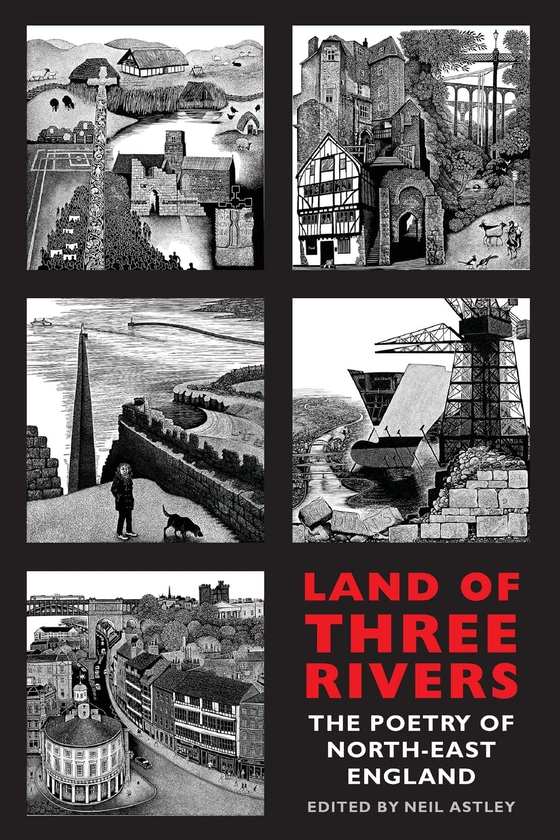 Бумажная книга «Land of Three Rivers», автор Нил Эстли - фото №1