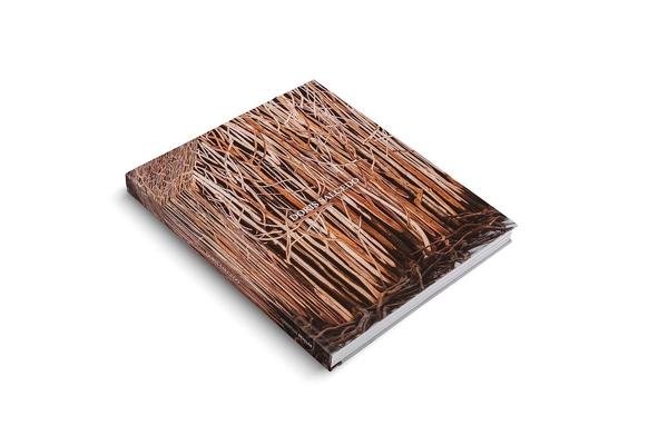 Паперова книга «Doris Salcedo», авторів Селуа Лусте Бульбіна, Мері Шнайдер Енрікес, Оушен Вуонг - фото №1