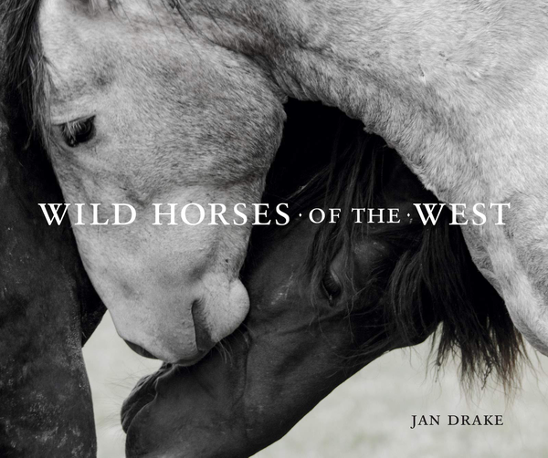 Бумажная книга «Wild Horses of the West», автор Ян Дрейк - фото №1