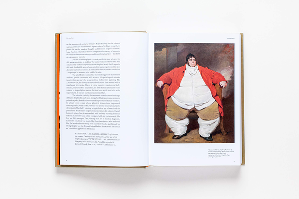 Бумажная книга «Sensations. The Story of British Art from Hogarth to Banksy», автор Джонатан Джонс - фото №1