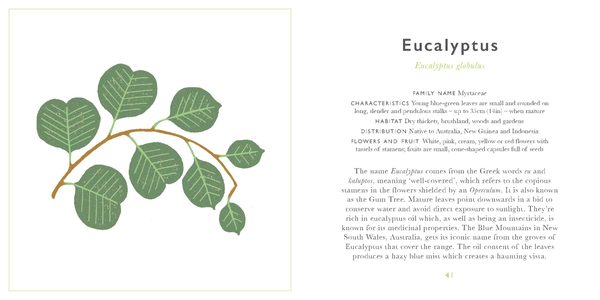 Бумажная книга «The Little Guide to Leaves» - фото №1