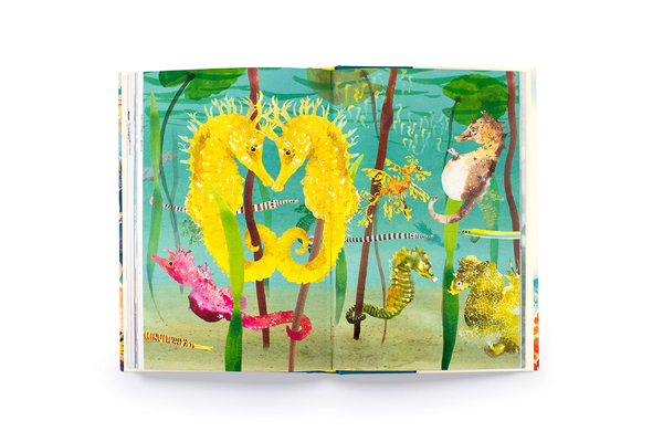Бумажная книга «Around the Ocean in 80 Fish and other Sea Life», автор Хелен Скейлс - фото №1