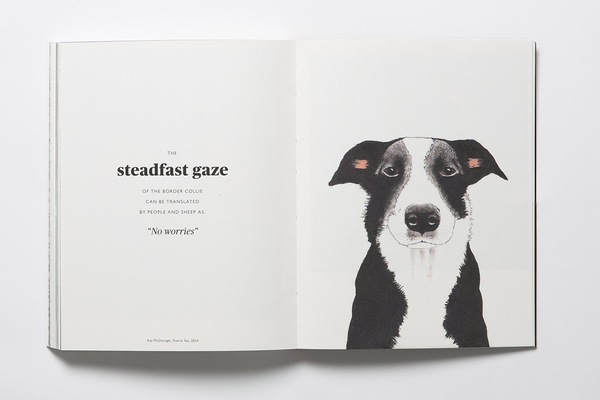 Бумажная книга «The Book of the Dog. Dogs in Art», автор Ангус Хайленд - фото №1