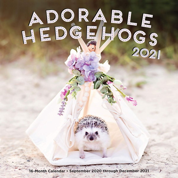 Паперова книга «Adorable Hedgehogs 2021» - фото №1