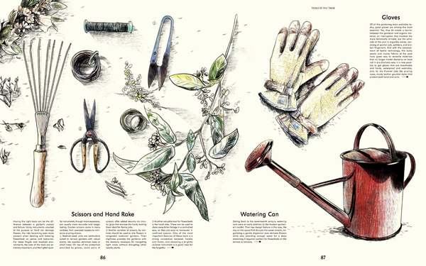 Бумажная книга «Evergreen. Living with Plants » - фото №1