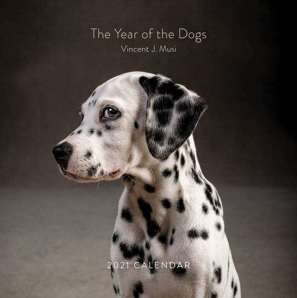 Паперова книга «2021 Wall Calendar: Year of the Dogs» - фото №1
