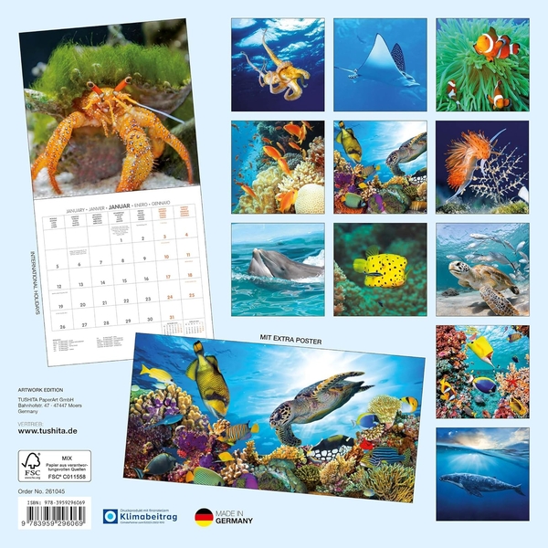 Бумажная книга «Meerestiere/Sea Creatures/Créatures marines 2026» - фото №1