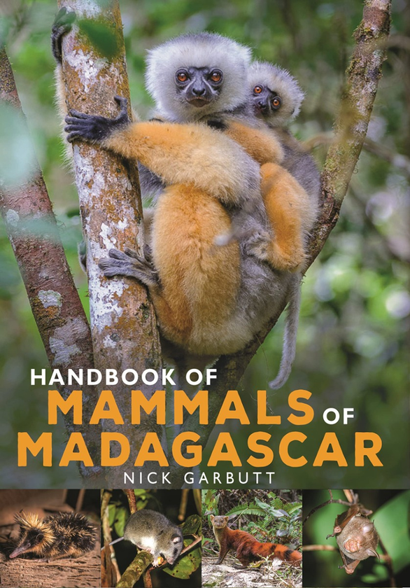 Бумажная книга «Handbook of Mammals of Madagascar», автор Ник Гарбутт - фото №1