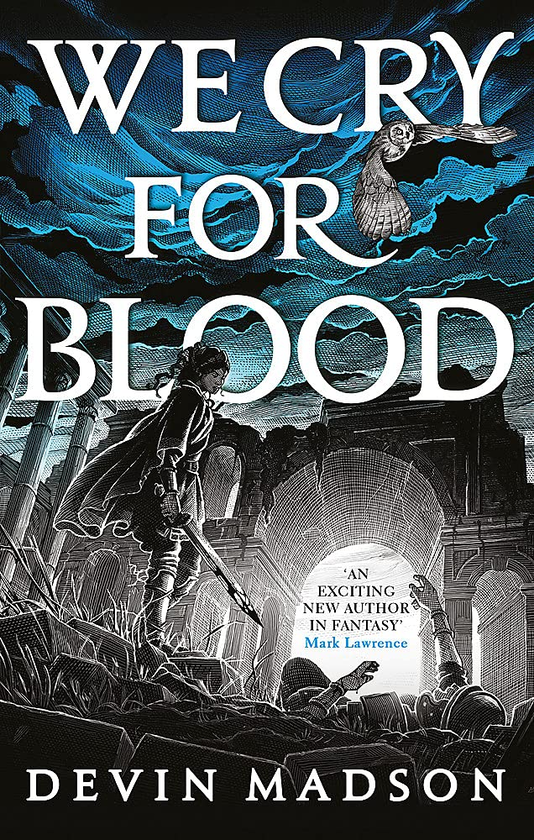 Бумажная книга «We Cry for Blood», автор Девин Мадсон - фото №1