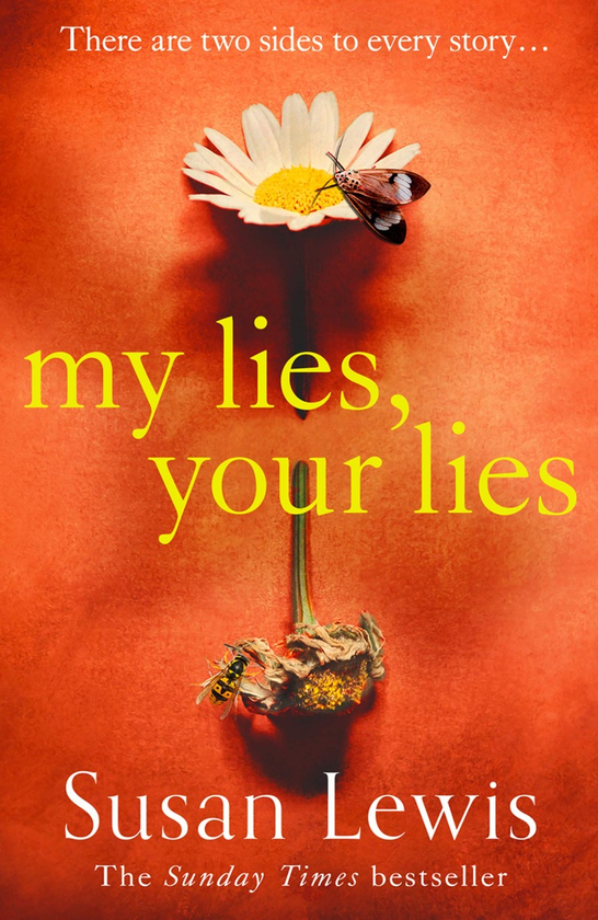 Бумажная книга «My Lies, Your Lies», автор Сьюзен Льюис - фото №1