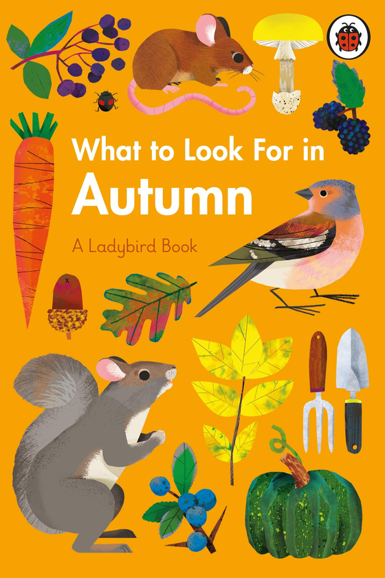 Бумажная книга «What To Look For In Autumn», автор Элизабет Дженнер - фото №1
