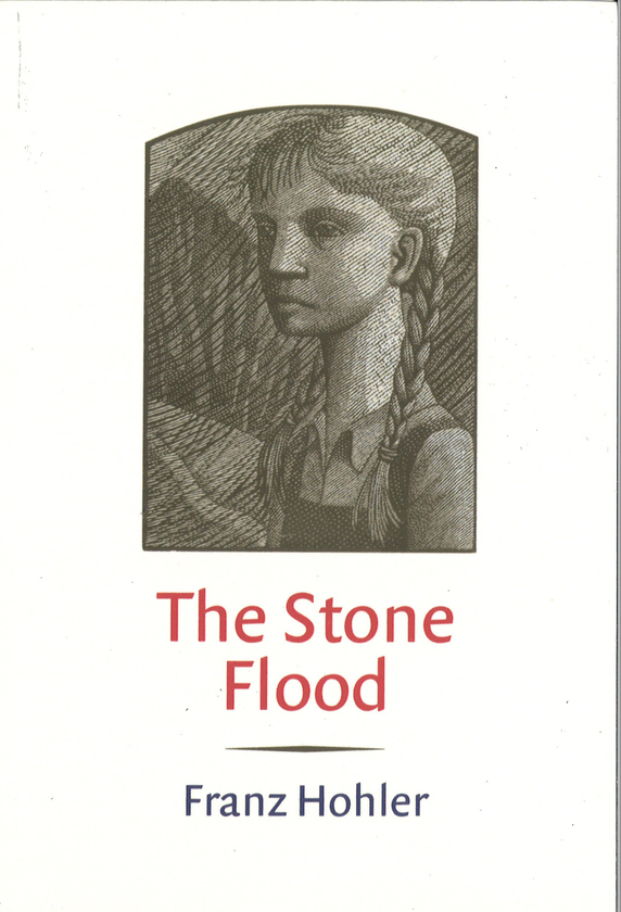 Паперова книга «The Stone Flood», автор Франц Холер - фото №1