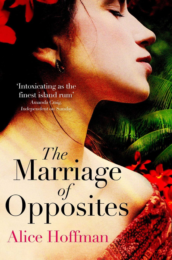 Бумажная книга «The Marriage of Opposites», автор Элис Хоффман - фото №1