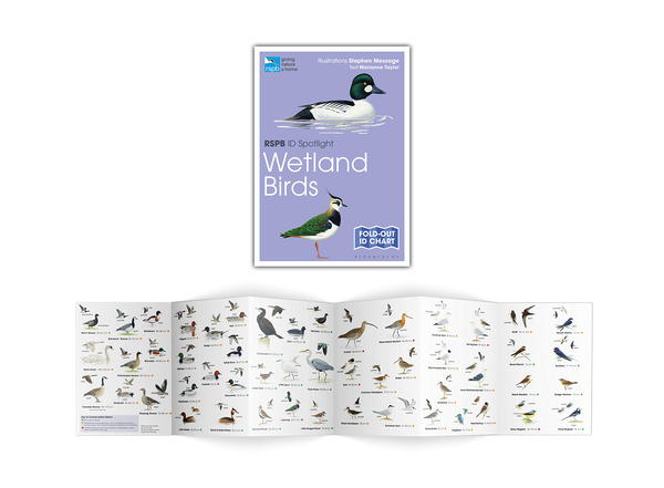 Бумажная книга «RSPB ID Spotlight. Wetland Birds», автор Марианна Тейлор - фото №1