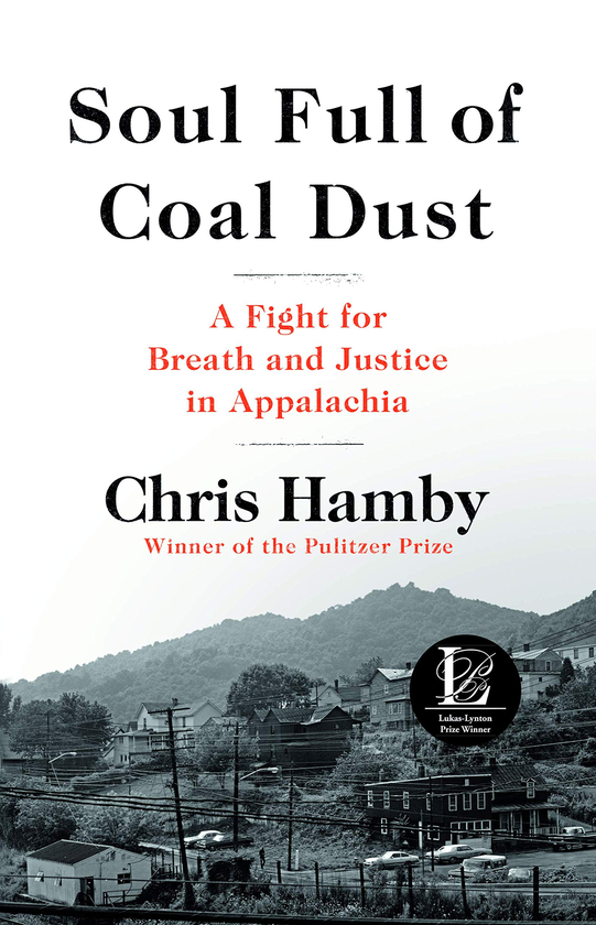 Паперова книга «Soul Full of Coal Dust», автор Кріс Хембі - фото №1