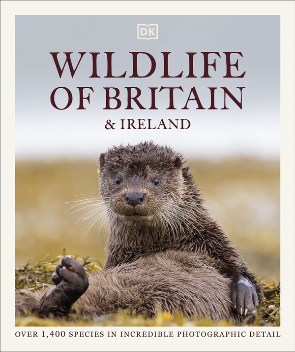 Бумажная книга «Wildlife of Britain and Ireland» - фото №1