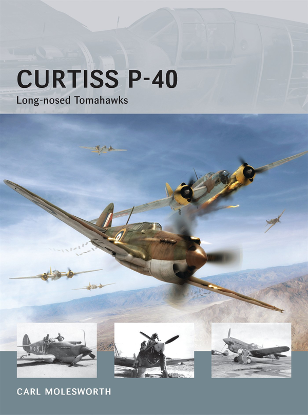 Бумажная книга «Curtiss P-40: Long-nosed Tomahawks», автор Карл Моулсворт - фото №1