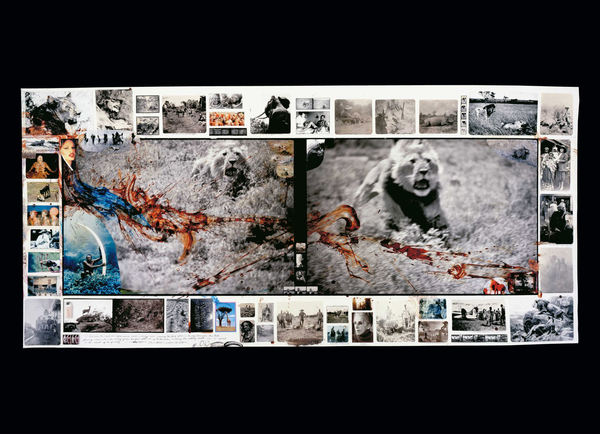Бумажная книга «Peter Beard », автор Оуэн Эдвардс - фото №1