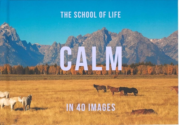[object Object] «Calm in 40 Images», автор The School of Life - фото №1