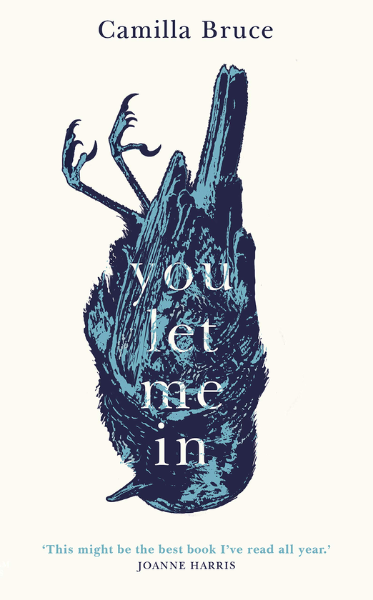 Бумажная книга «You Let Me In», автор Камилла Брюс - фото №1