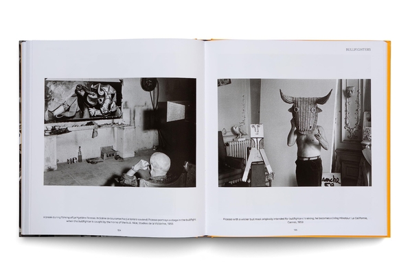 Бумажная книга «Picasso, Friends and Family», авторов Эдвард Куинн, Вольфганг Фрай, Жан-Луи Андраль - фото №1