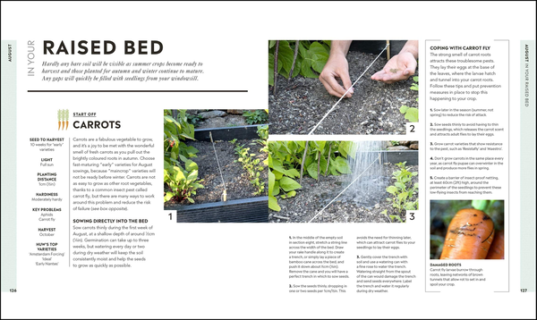 Бумажная книга «Veg in One Bed. How to Grow an Abundance of Food in One Raised Bed, Month by Month», автор Хью Ричардс - фото №1