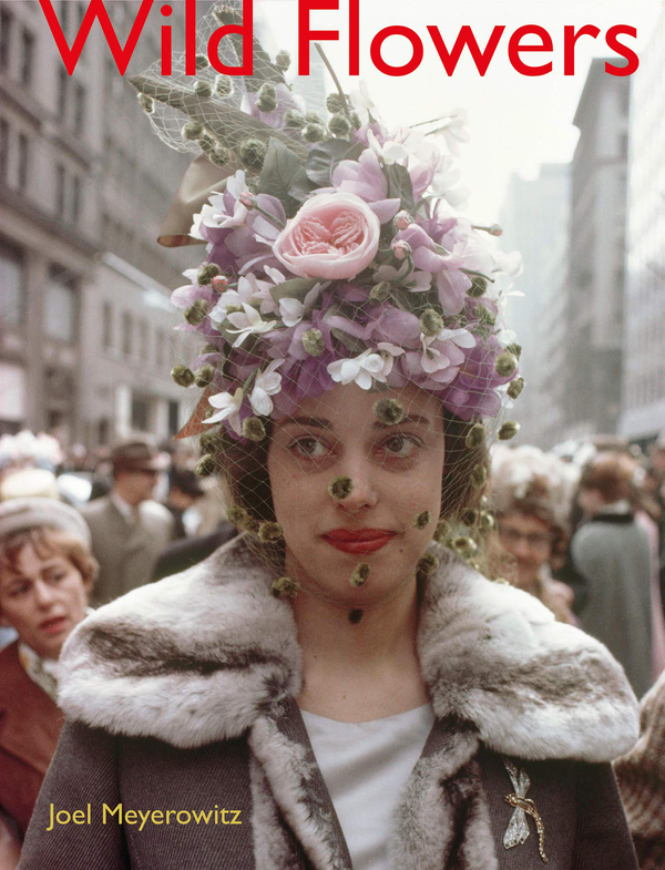 Паперова книга «Joel Meyerowitz. Wild Flowers», автор Джоел Мейеровіц - фото №1