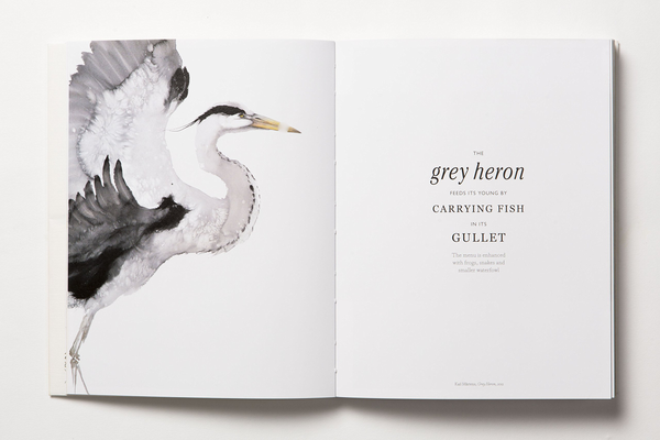Бумажная книга «The Book of the Bird», авторов Кендра Уилсон, Ангус Хайленд - фото №1