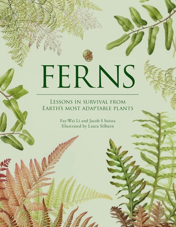 Паперова книга «Ferns: Lessons in Survival From Earth’s Most Adaptable Plants», авторів Фей-Вей Лі, Джейкоб С. Суїсса - фото №1