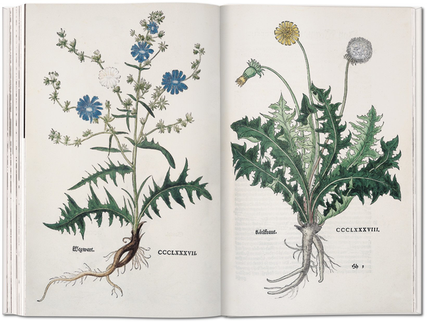 Бумажная книга «Leonhart Fuchs: The New Herbal of 1543», автор Вернер Дрессендорфен - фото №1