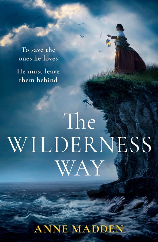 Бумажная книга «The Wilderness Way», автор Энн Мэдден - фото №1