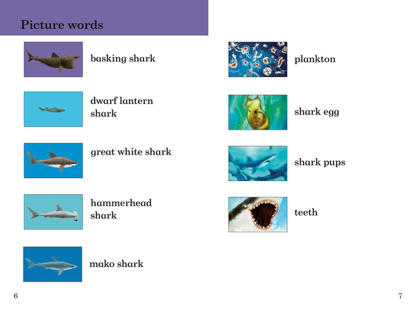 Бумажная книга «Ladybird Readers. Level 3. Sharks» - фото №1