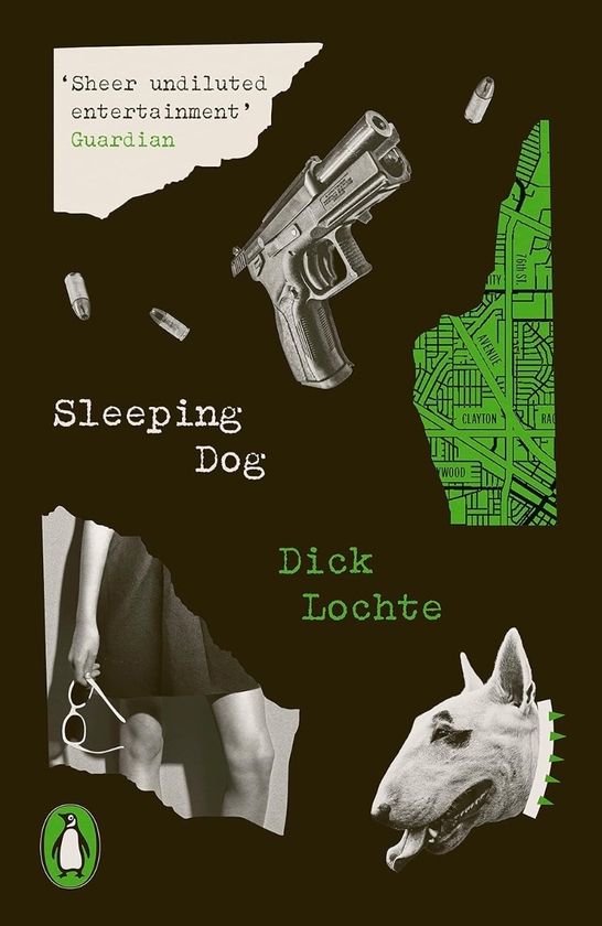Паперова книга «Sleeping Dog», автор Дік Лохте - фото №1