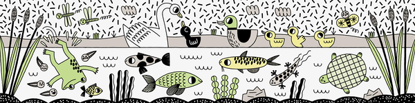 Паперова книга «Pond Pals. A Magic Bath Book» - фото №1