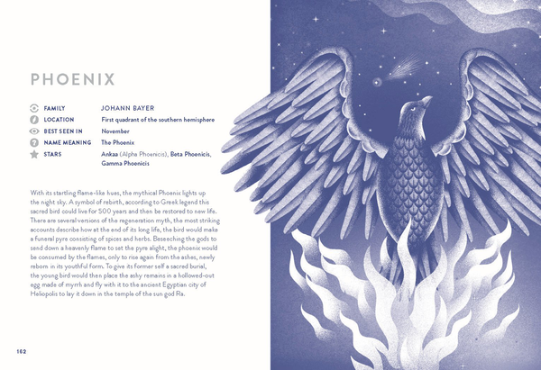 Бумажная книга «Written in the Stars: Constellations, Facts and Folklore», автор Элисон Дэвис - фото №1