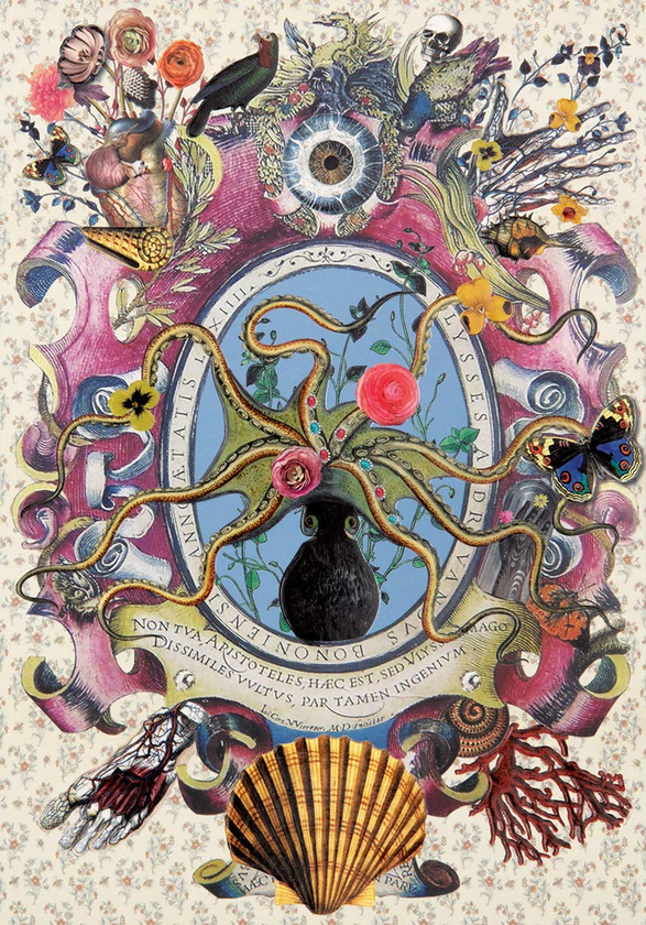 Паперова книга «Christian Lacroix Heritage Collection Curiosity A5 Notebook» - фото №1
