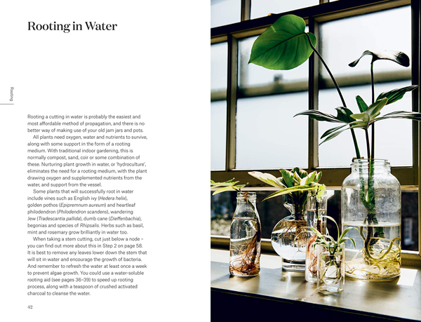 Бумажная книга «Root, Nurture, Grow: The Essential Guide to Propagating and Sharing Houseplants», авторов Каро Лангтон, Роуз Рэй - фото №1