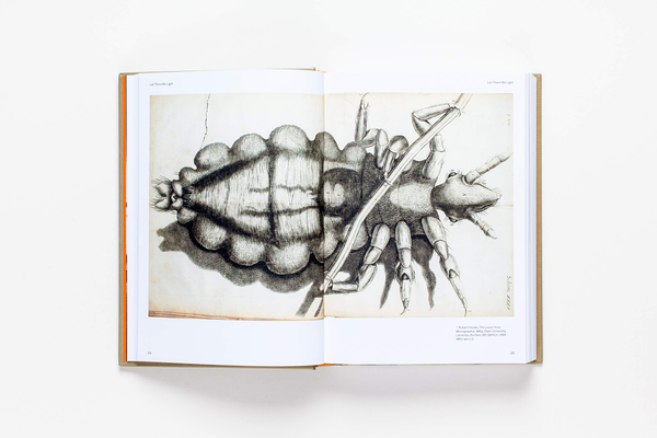 Бумажная книга «Sensations. The Story of British Art from Hogarth to Banksy», автор Джонатан Джонс - фото №1